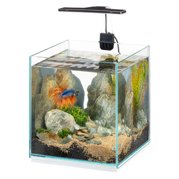TONGA 20 -9.5L