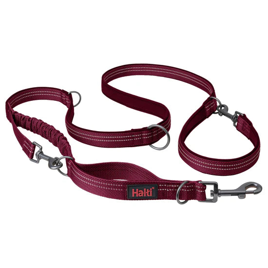 HALTI ANATOMY MULTI LEAD SMALL