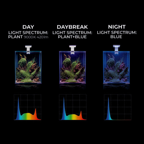 LEDDY SMART PLANT & NIGHT
