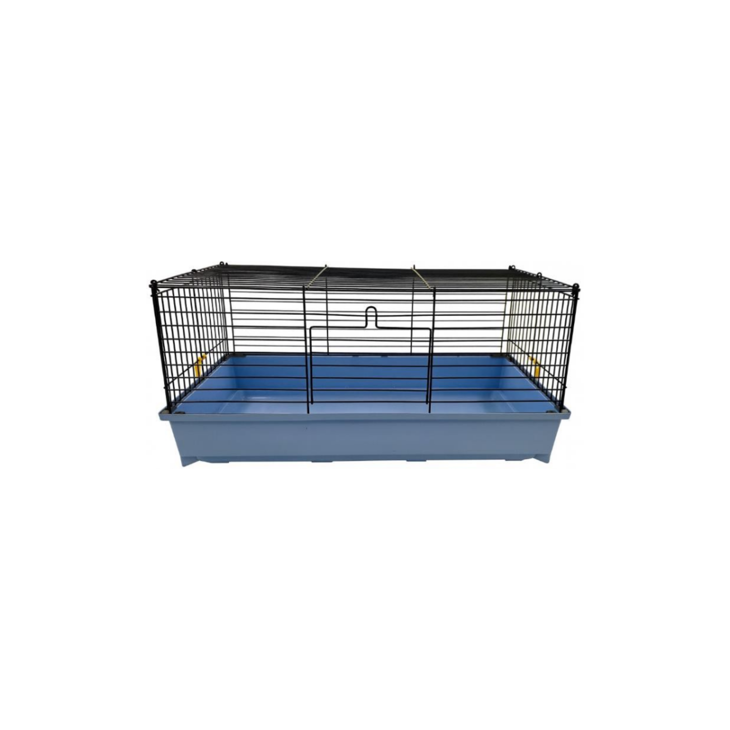 LEO CAVIA 2