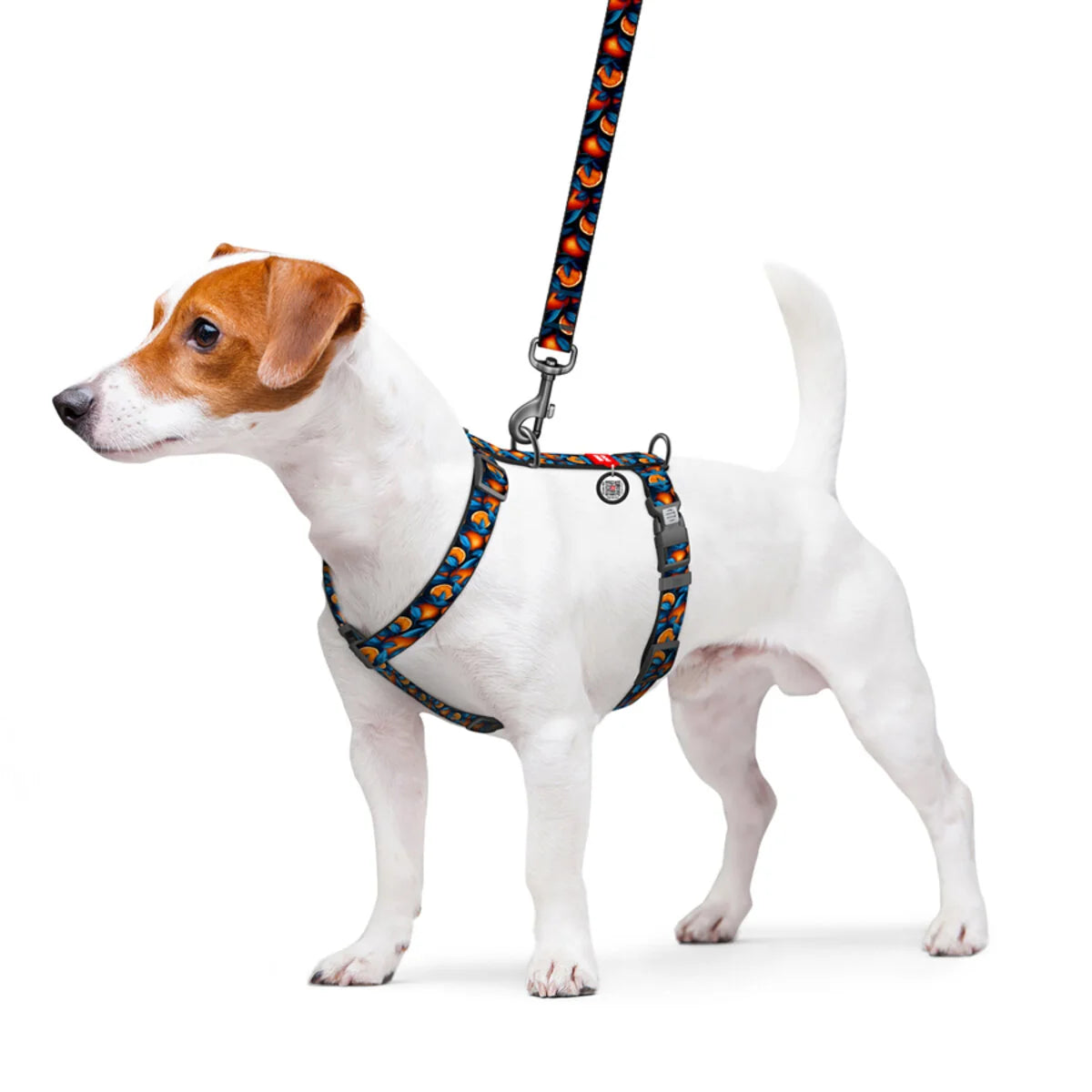 WAUDOG NYLON DOG H-HARNESS WITH QR-PASSPORT, ORANGES DESIGN, PLASTIC FASTEX