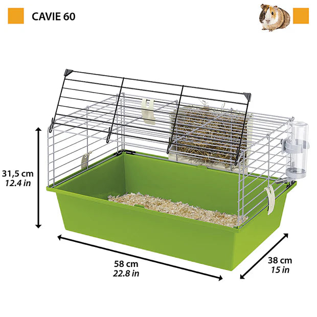 CAVIE 60