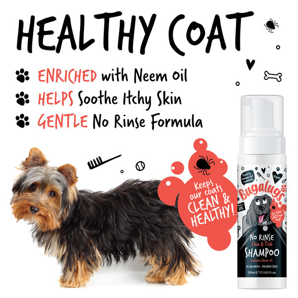 NO RINSE FLEA & TICK SHAMPOO FOR DOGS 210ML
