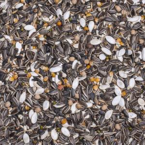 28-GERMINATION SEEDS PARROTS 10KG