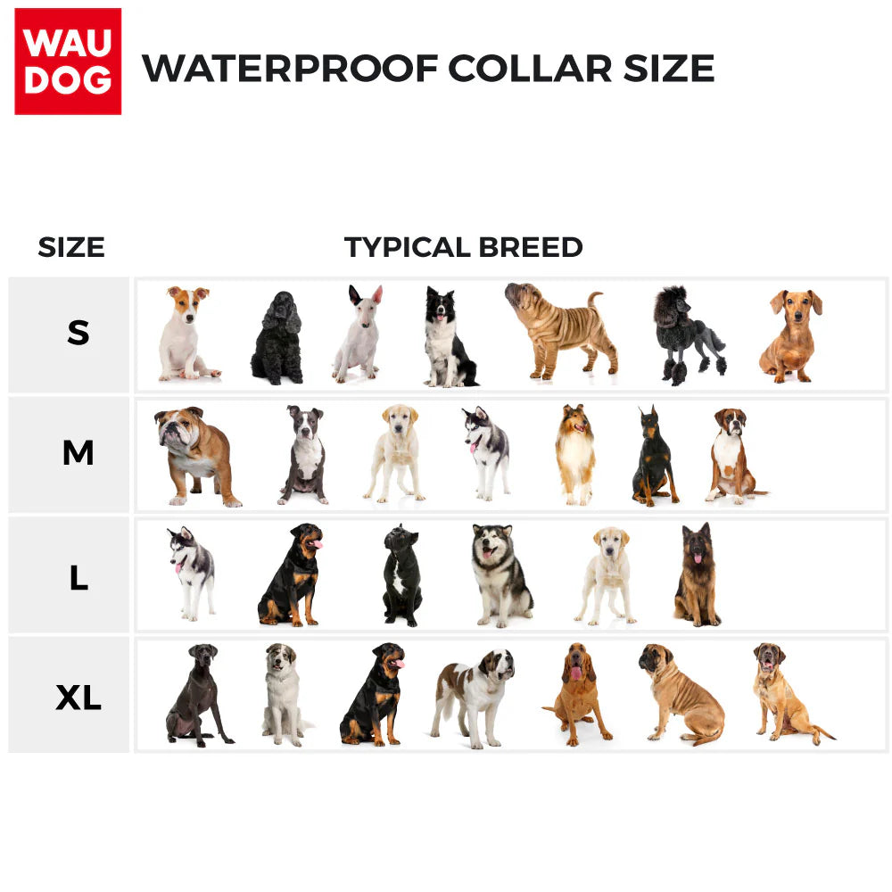WAUDOG WATERPROOF DOG COLLAR