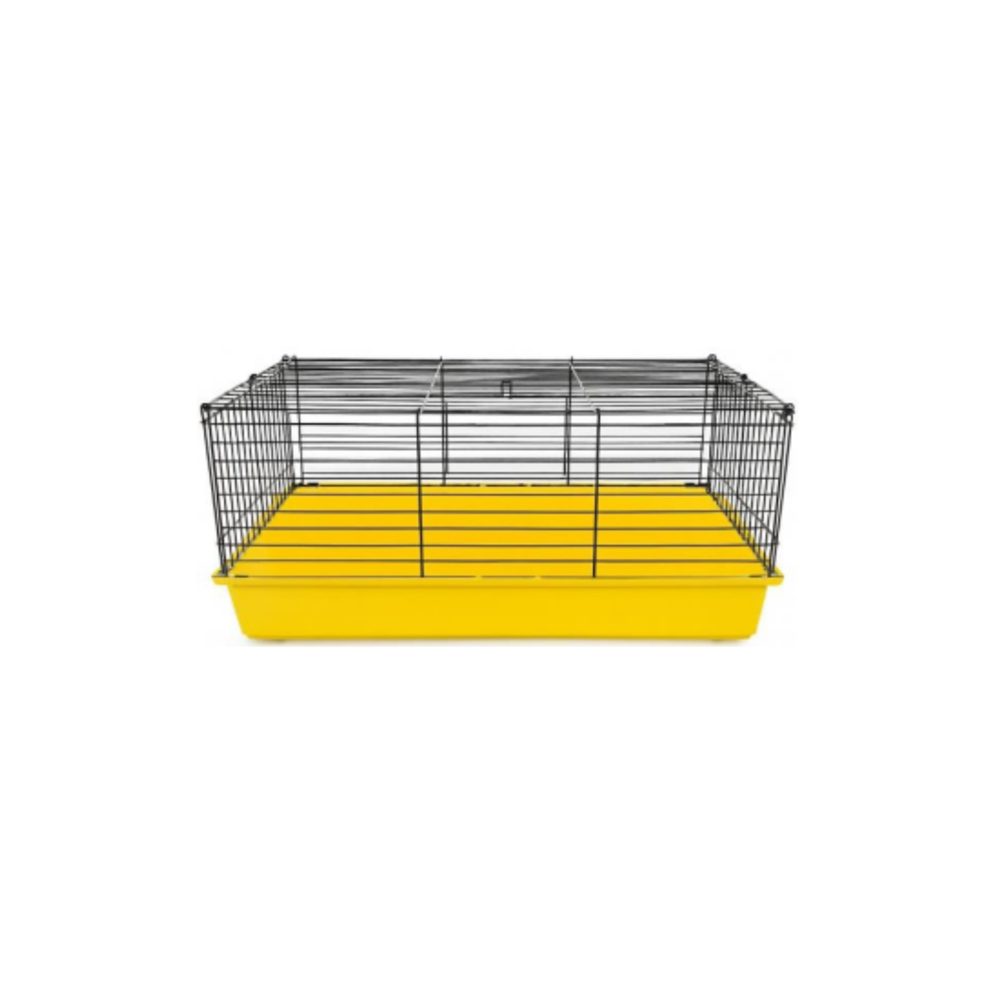 LEO CAVIA 2