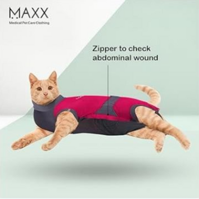 MAXX CAT RECOVERY PET SUIT