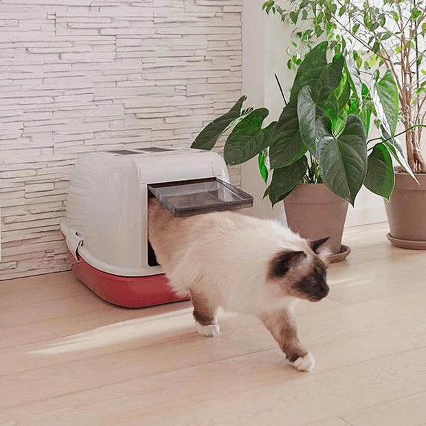 MAGIX CAT TOILET
