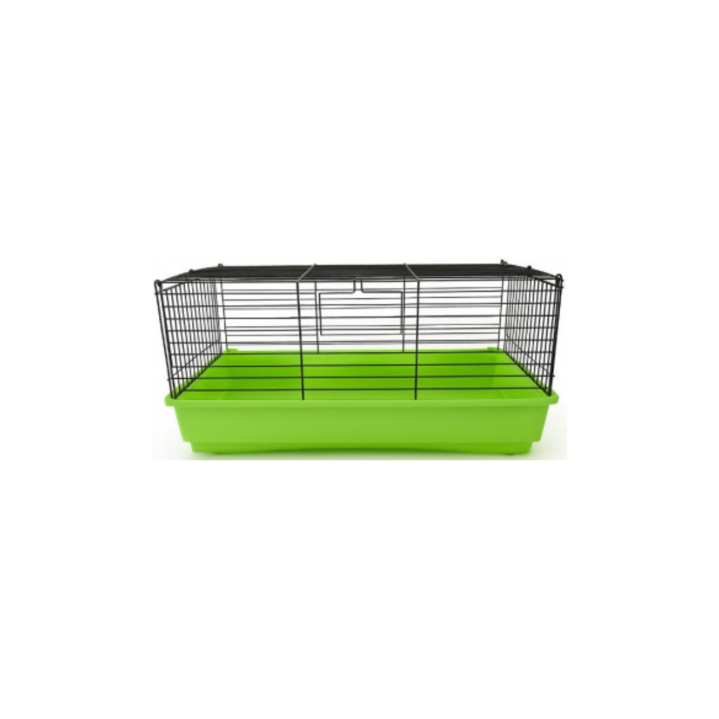 LEO CAVIA 2