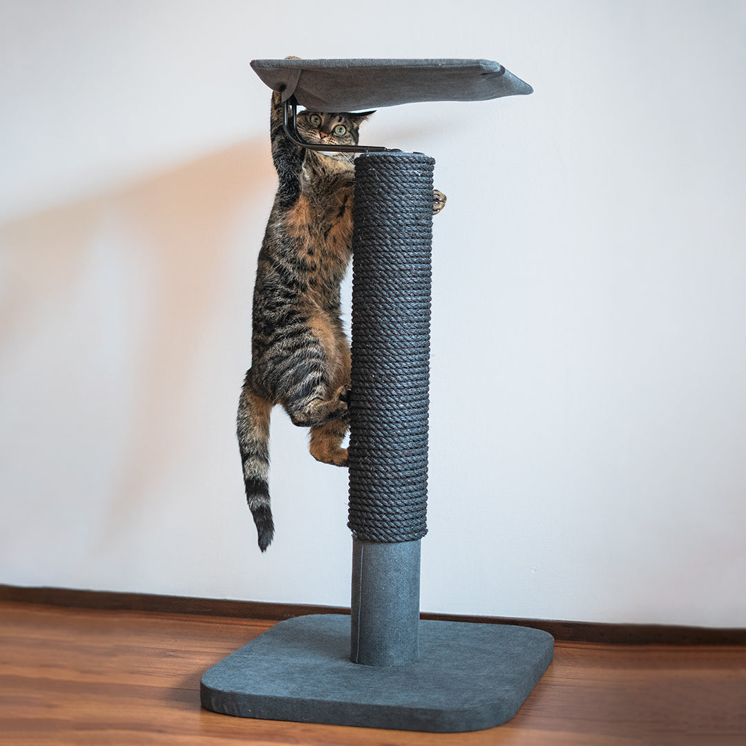 CAT SCRATCHING POLE IWAKI