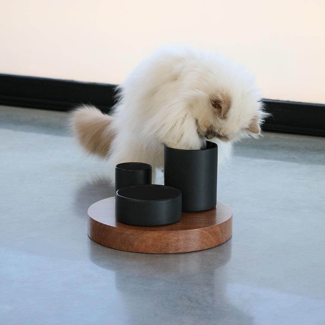 IGGY – ENRICHED FOOD TRAY WITH 3 LEVELS BLACK