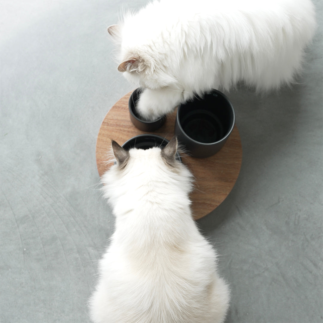 IGGY – ENRICHED FOOD TRAY WITH 3 LEVELS BLACK