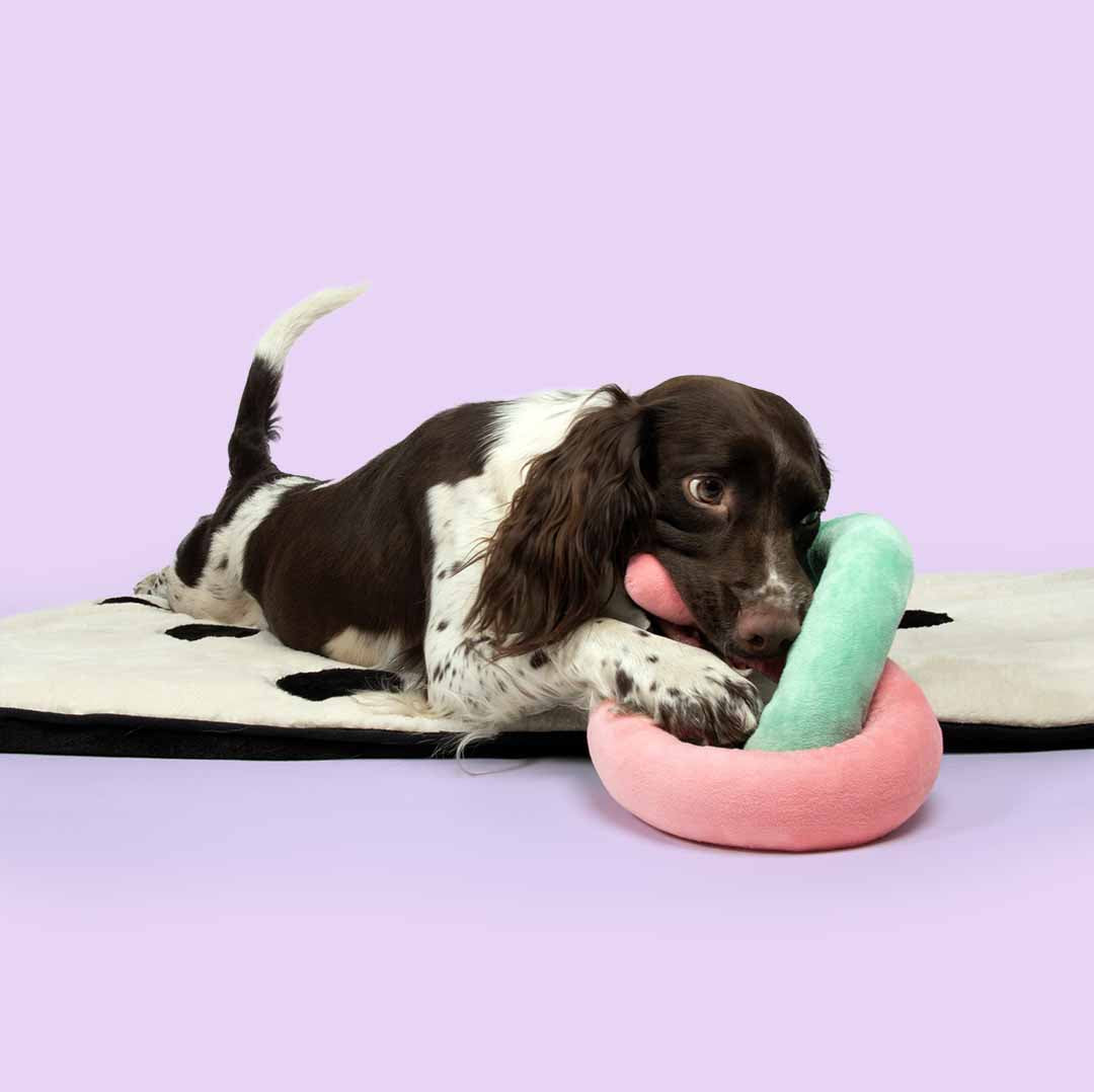 DOG TOY WITH ROPE SNUGGLE SNAKE MIXED COLORS