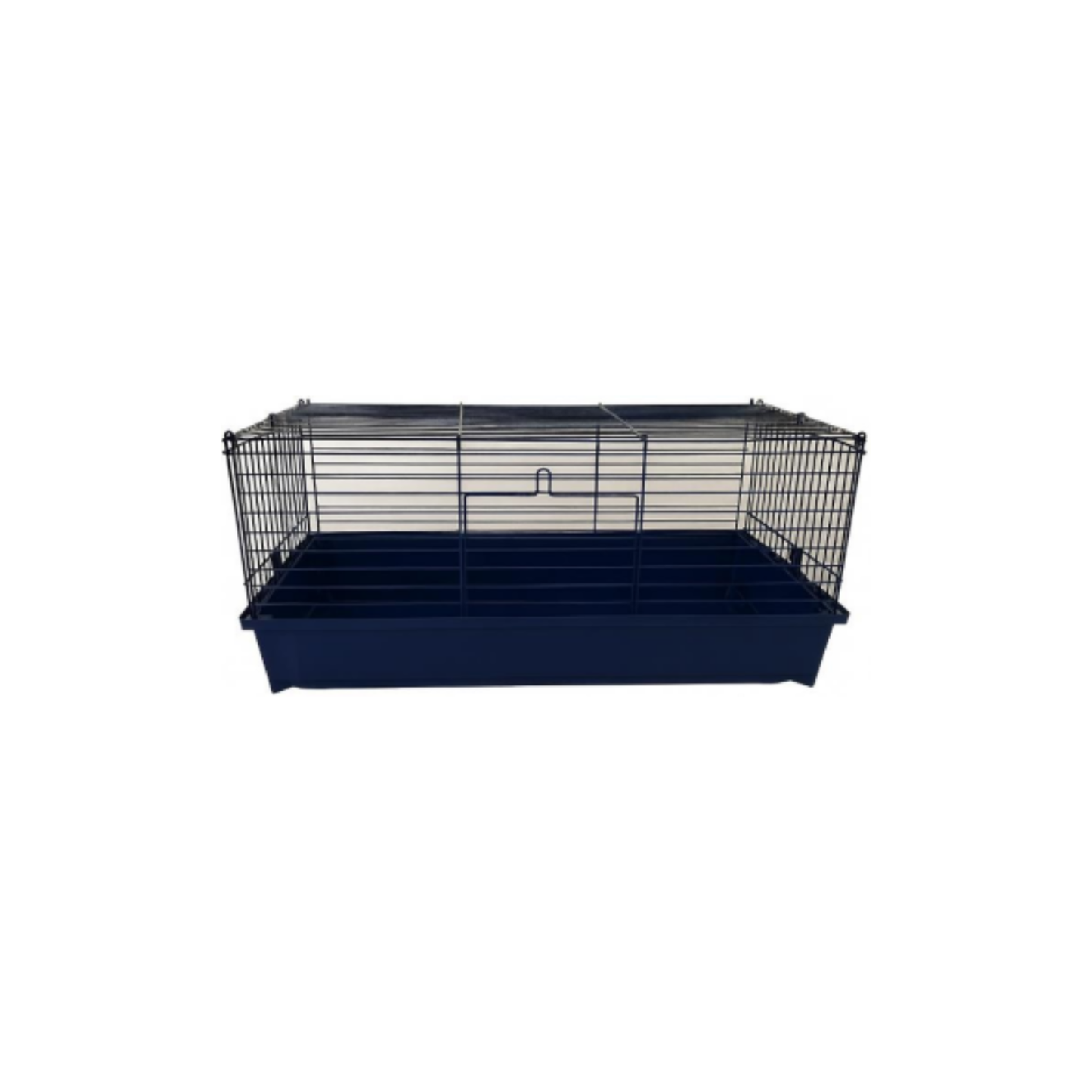 LEO CAVIA 2
