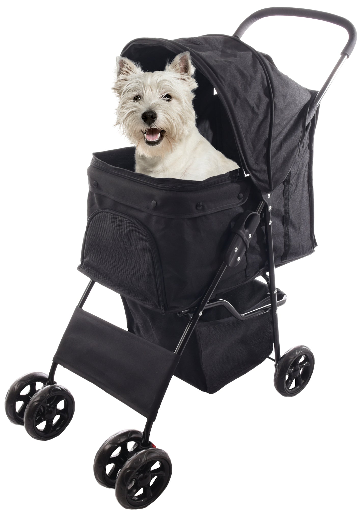 BUGGY ANDA BLACK