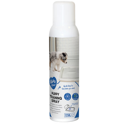 TRAINER SPRAY 125ml