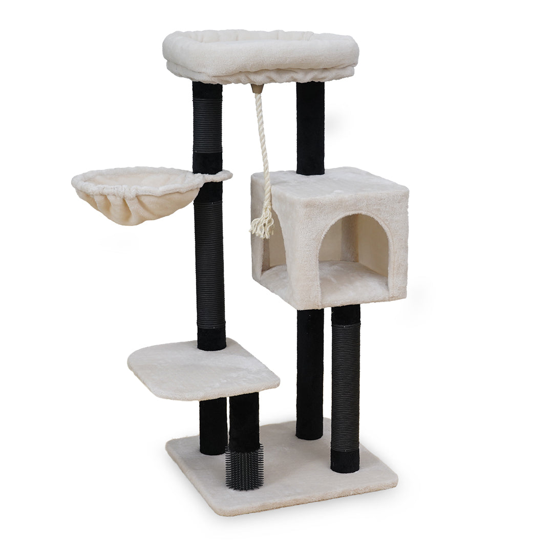 SCRATCHING POST DAVE WHITE