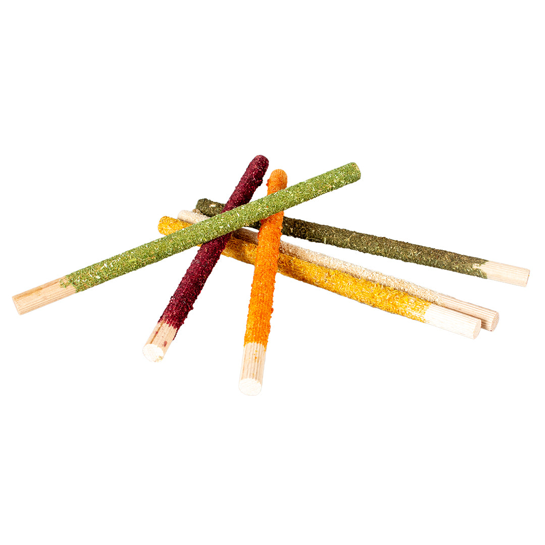WOODEN GNAWING STICKS VEGETABLES & FLOWERS