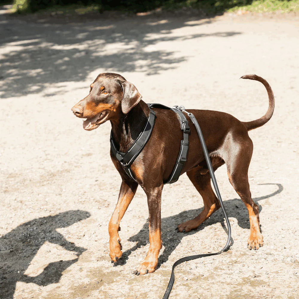 RUBBERIZED SEARCHLINE WITH HANDLE