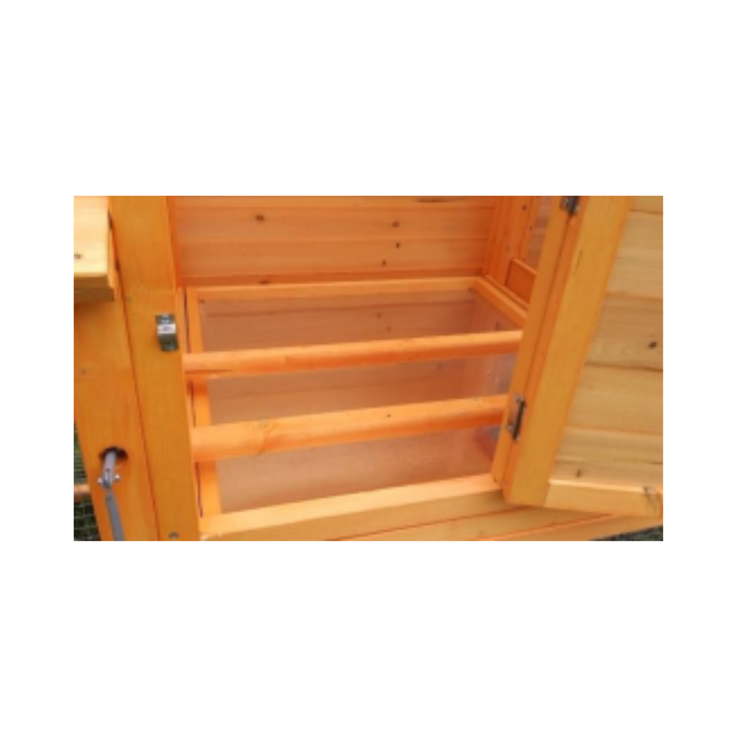 CHICKEN HOUSE FOREST