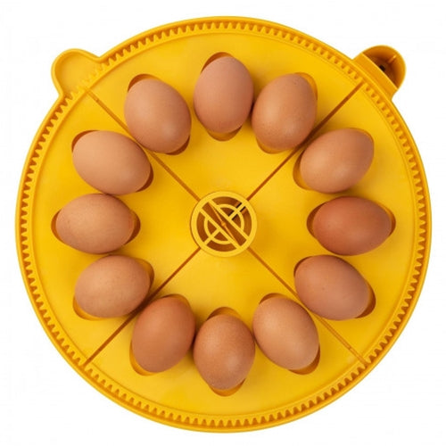 TRAY 12 DUCK/LARGE HEN EGGS FOR BRINSEA MAXI 24