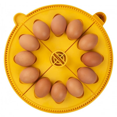 TRAY 12 DUCK/LARGE HEN EGGS FOR BRINSEA MAXI 24