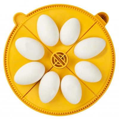 TRAY 8 GOOSE EGGS FOR BRINSEA MAXI 24