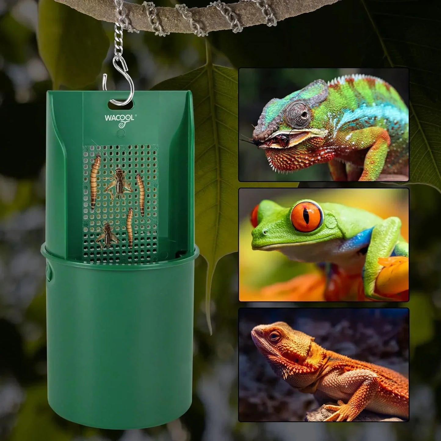 ARBOREAL REPTILE FEEDING DISH