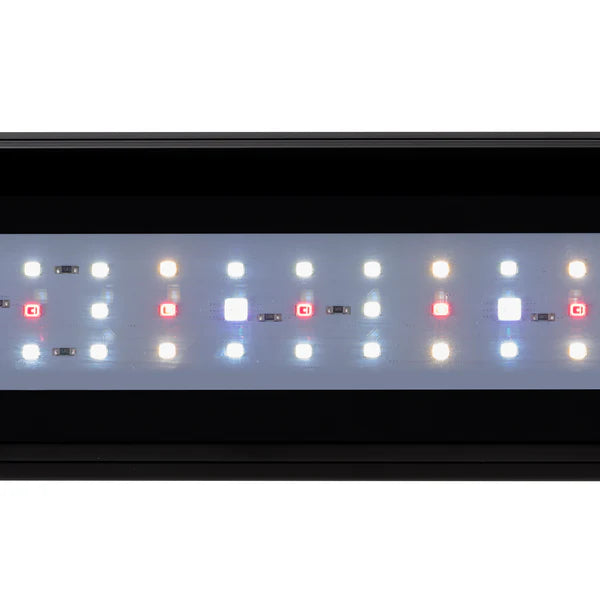 ELBA 60 – 5mm glass