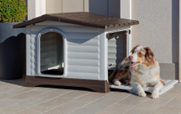 DOGVILLA
