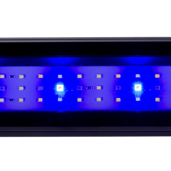 ELBA 110 – 8mm glass