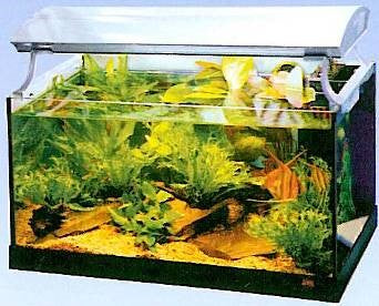 OVERTANK LUMINAIRE T8 ΓΙΑ ΕΝΥΔΡΕΙΟ ΑΛΑΜΜΕΝΟΥ ΝΕΡΟΥ