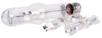 MARINE WHITE 14.000Κ