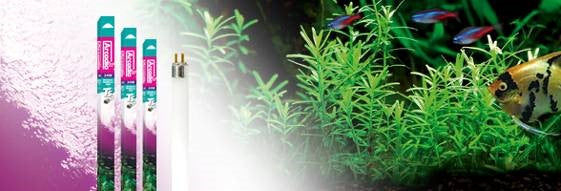 ORIGINAL TROPICAL PRO LAMPS T5