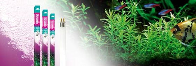 ORIGINAL TROPICAL PRO LAMPS T5
