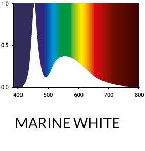 МОРСКОЙ БЕЛЫЙ T5 LED 13000K
