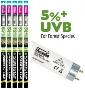 FOREST LAMP T8 5% UVB