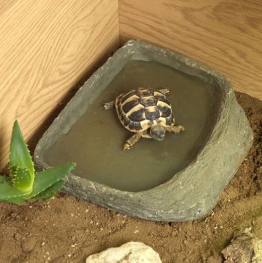 HABISTAT TORTOISE POOL