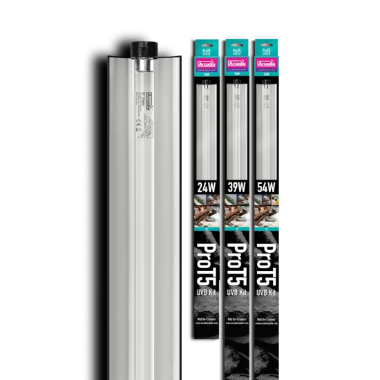 ARCADIA PRO T5 UVB KIT FOREST 12% UVB