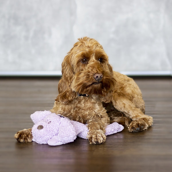 AROMADOG CALM FLEECE