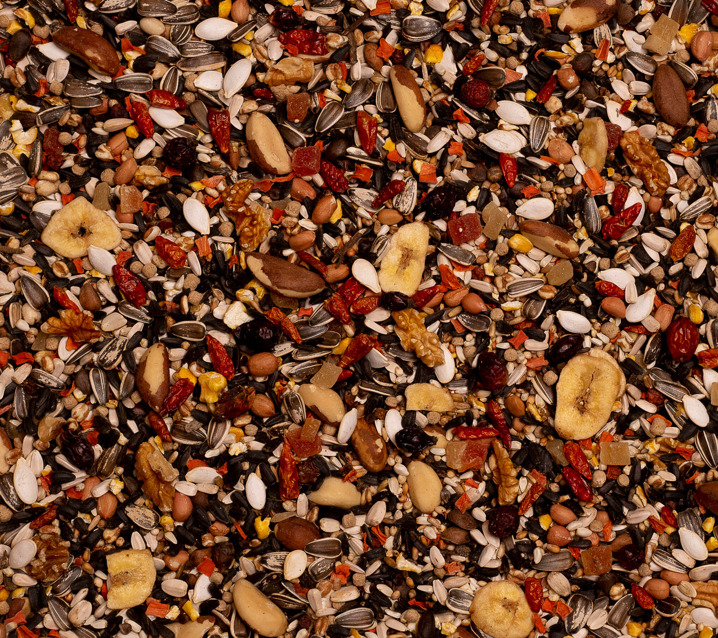 23-BIRDLICIOUS PARROT PANTANAL