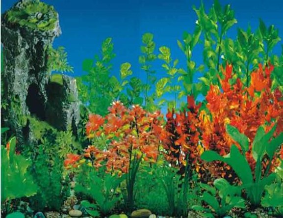 АКВАРИУМ ФОН