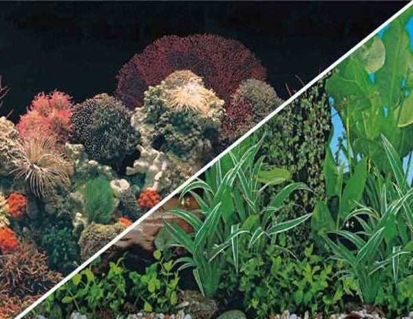 ДВУХСТОРОННИЙ АКВАРИУМ ФОН