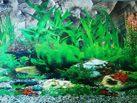 АКВАРИУМ ФОН