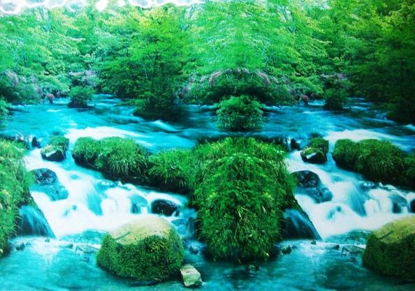 АКВАРИУМ ФОН