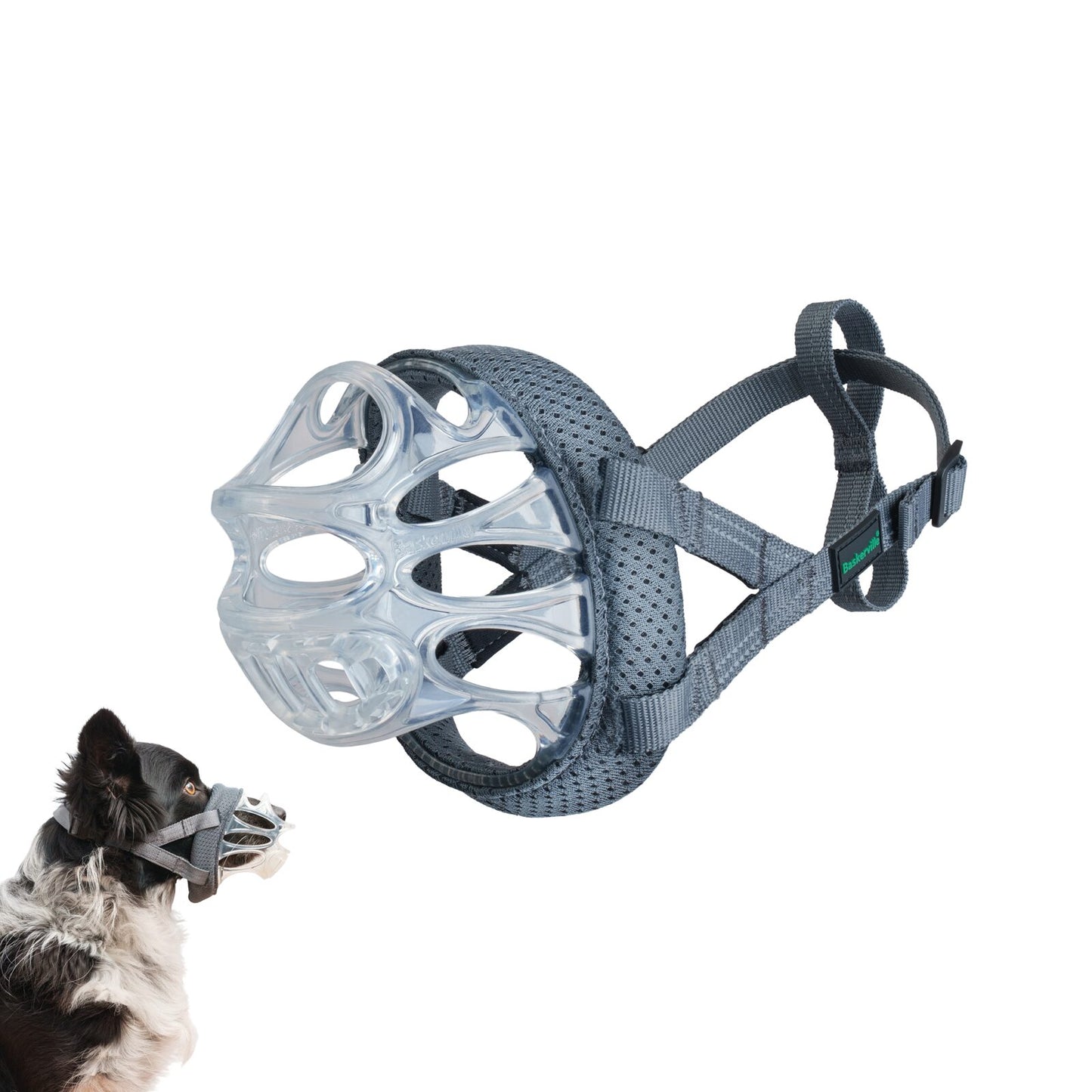 BASKERVILLE INVISA MUZZLE