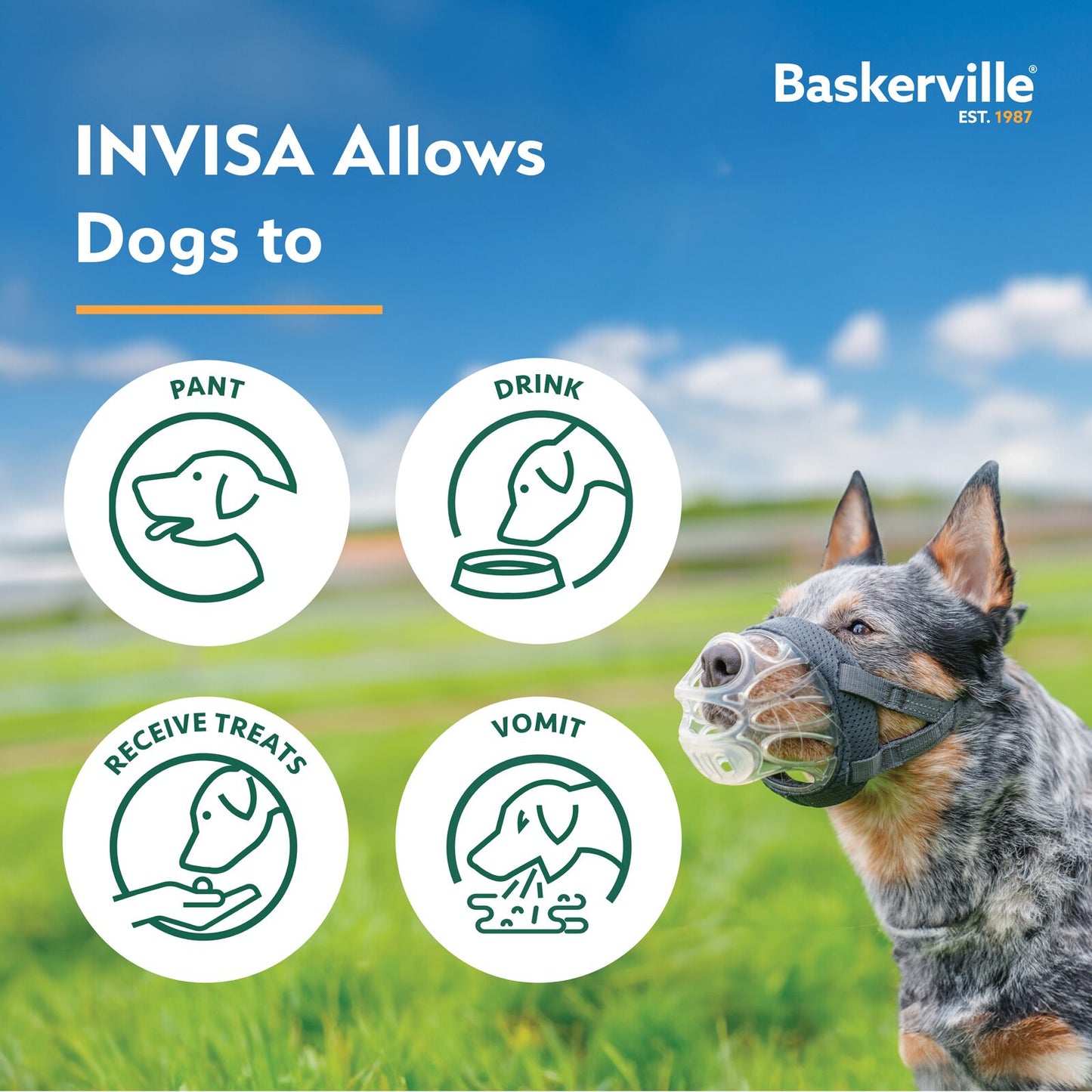 BASKERVILLE INVISA MUZZLE