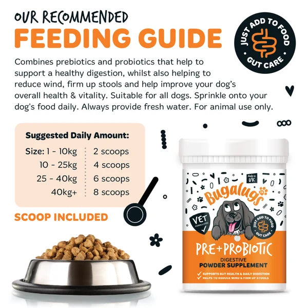 BUGALUGS NATURAL PRE & PROBIOTIC DIGESTIVE SUPPLEMENT