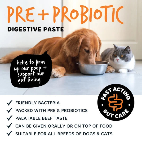 PRE & PROBIOTIC DIGESTIVE PASTE FOR DOGS & CATS 30ML