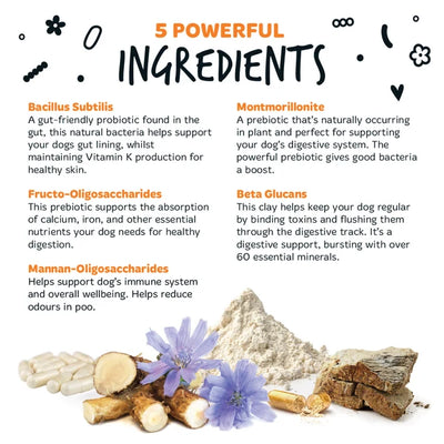 BUGALUGS NATURAL PRE & PROBIOTIC DIGESTIVE SUPPLEMENT